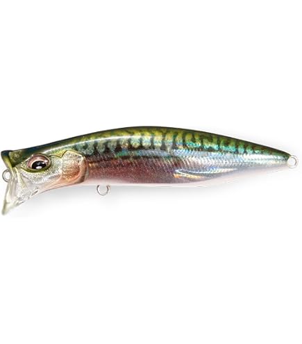 （ぽんさん専用）ヤマガブランクス　アーリーフォーシーバス93M Amazon | ヤマガブランクス(YAMAGA Blanks) ロッド アーリー フォー